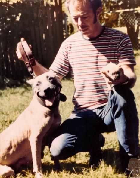 Photo of the dog