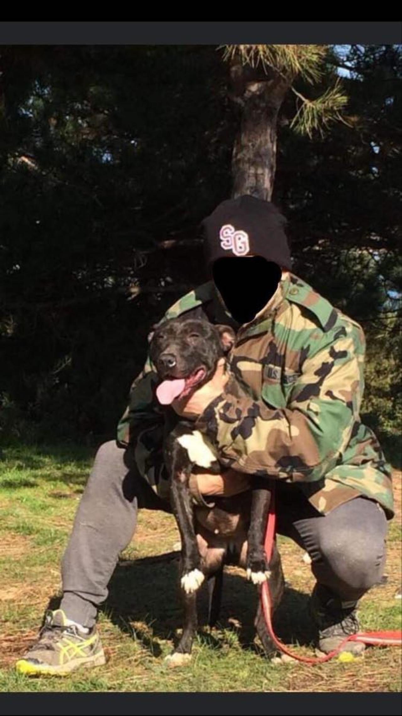Photo of the dog