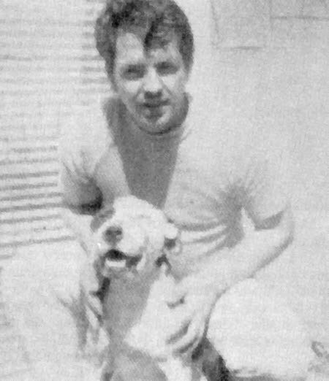 Photo of the dog