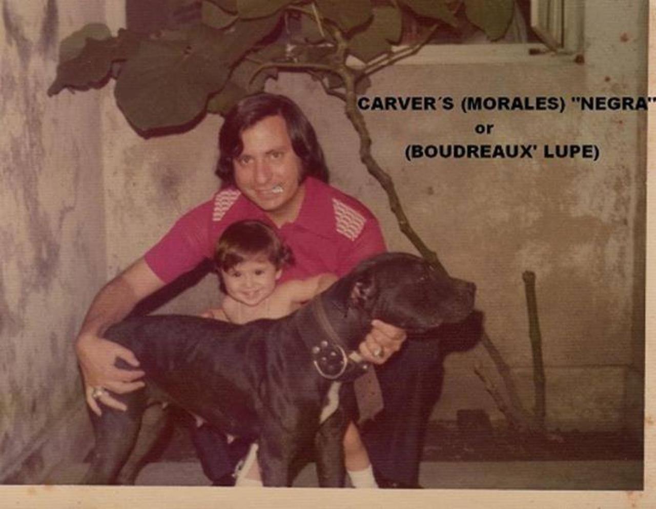 Photo of the dog