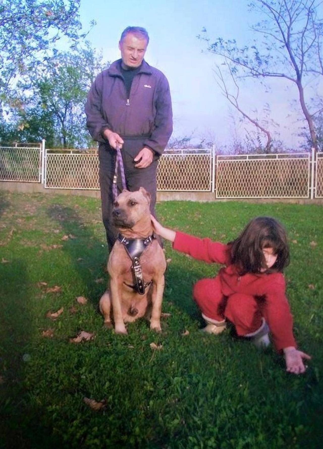 Photo of the dog