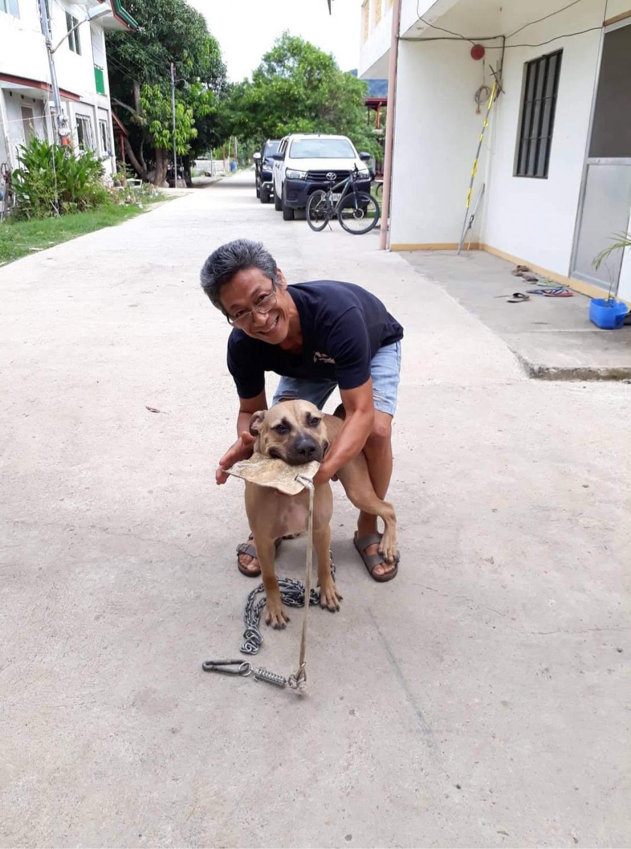 Photo of the dog