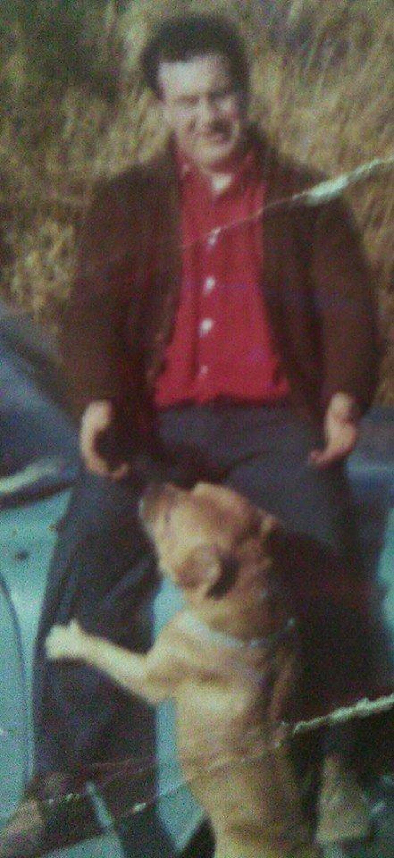 Photo of the dog