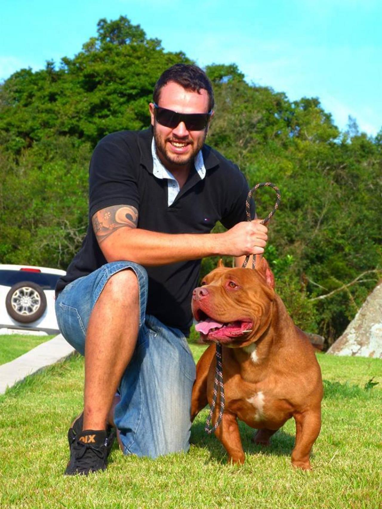 Photo of the dog