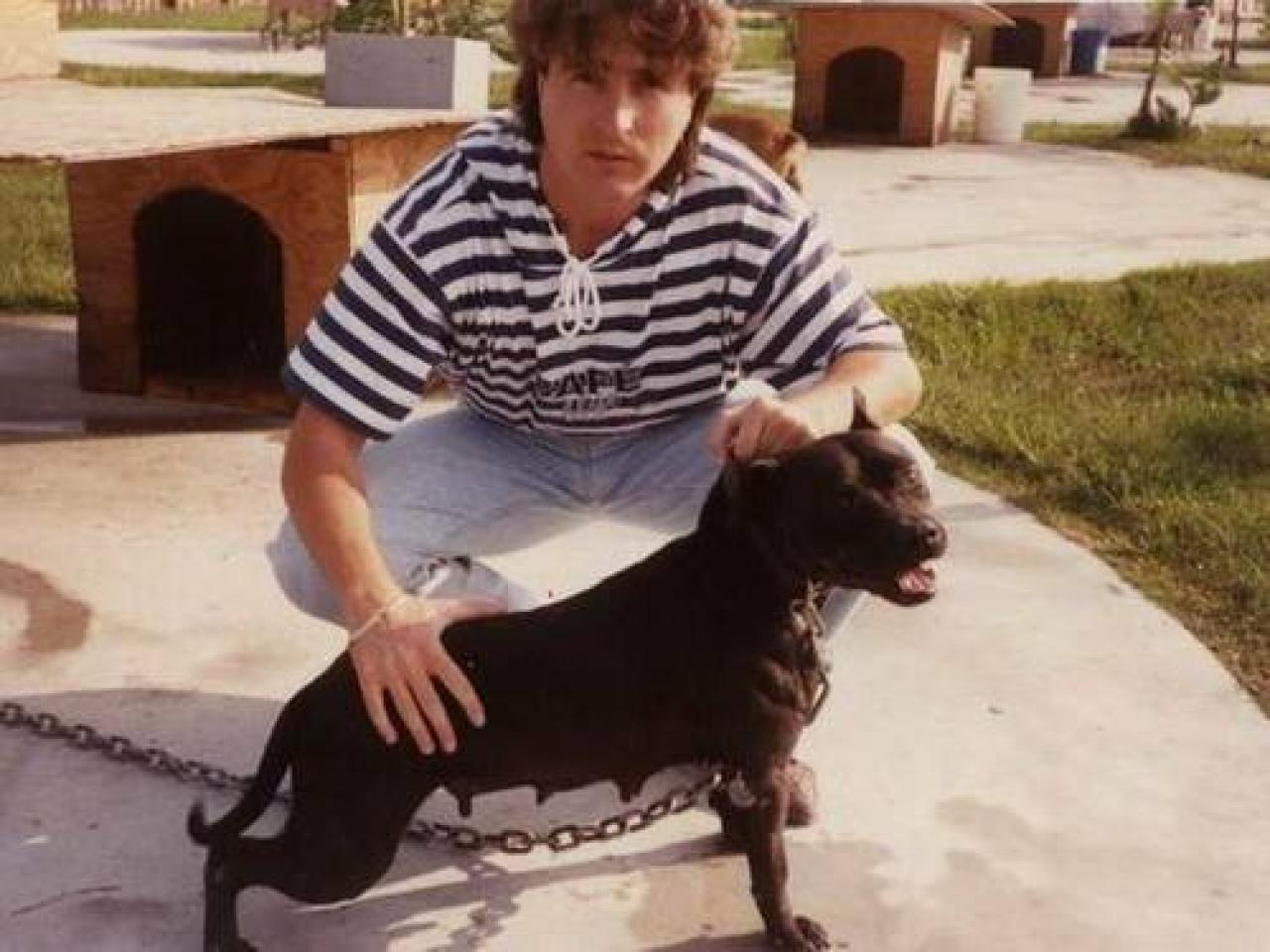 Photo of the dog