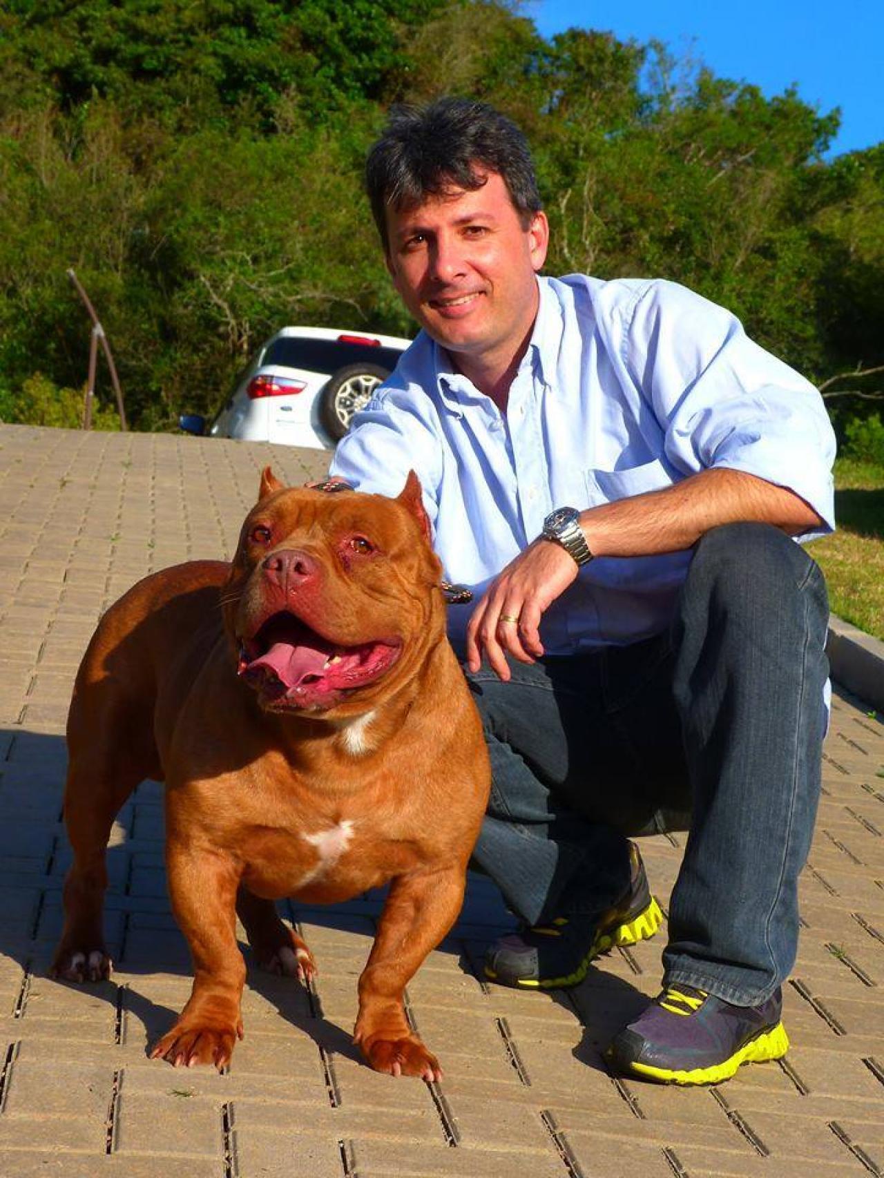Photo of the dog