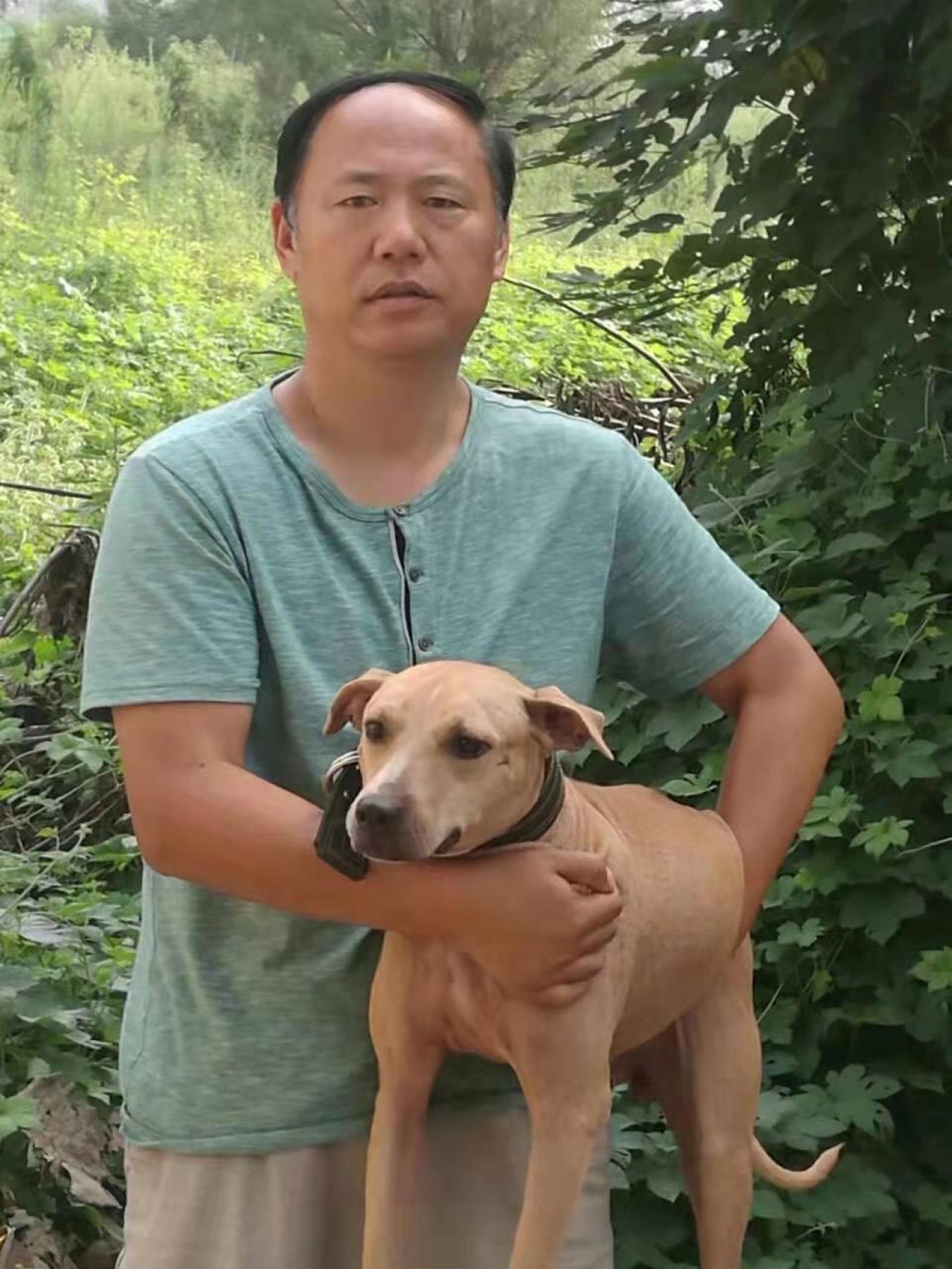 Photo of the dog