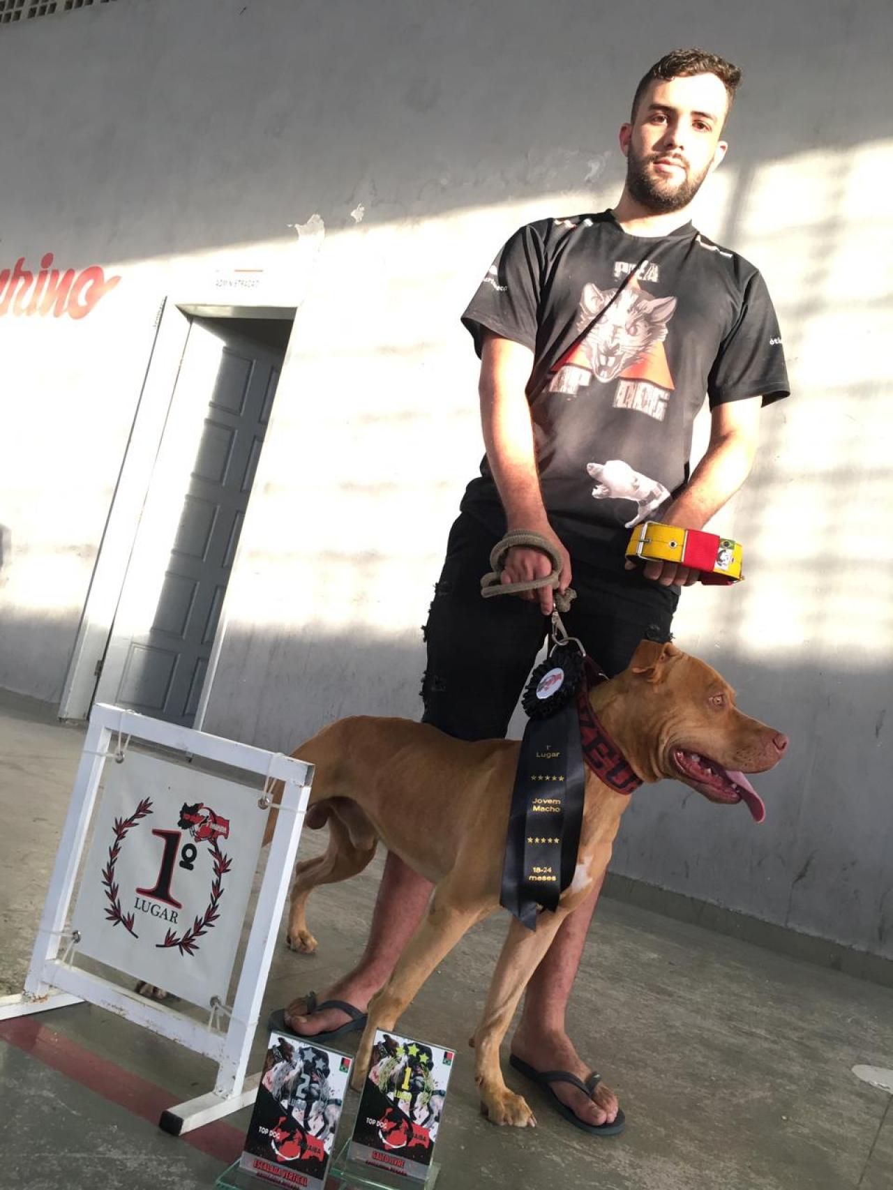 Photo of the dog