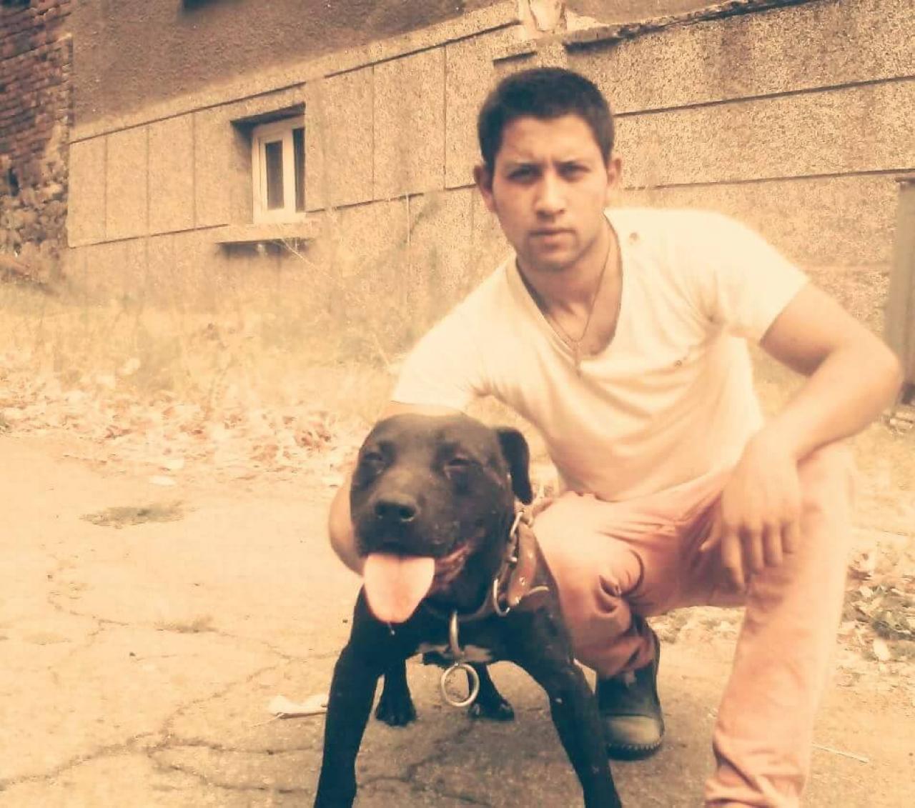 Photo of the dog