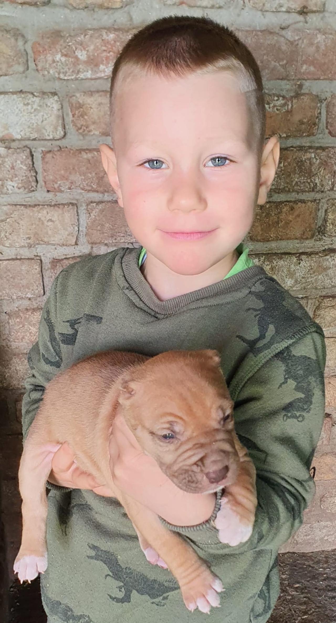 Photo of the dog