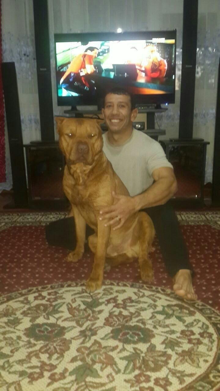 Photo of the dog