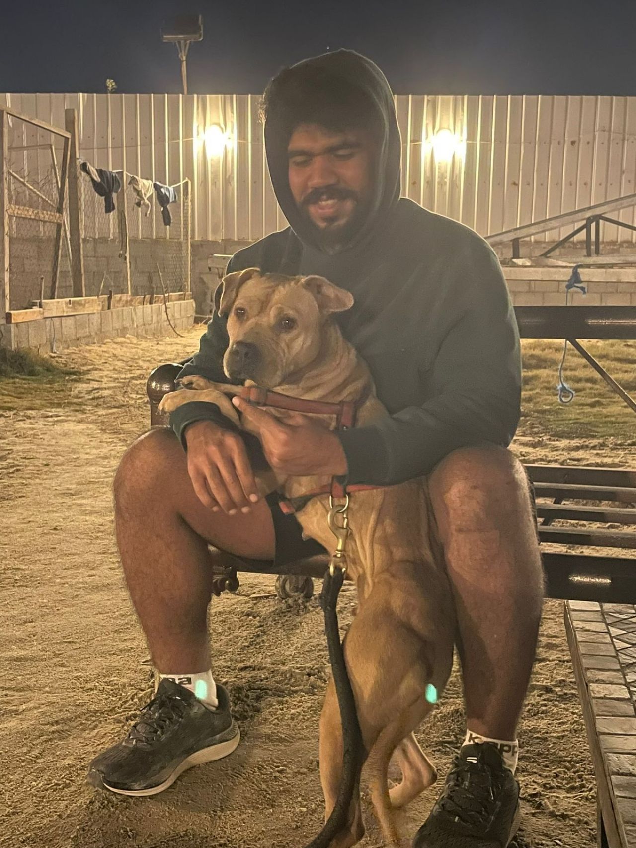 Photo of the dog