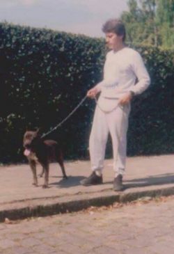 Photo of the dog