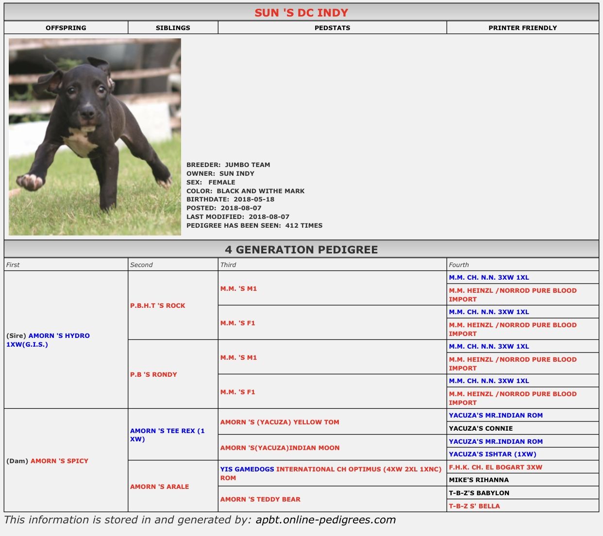 Photo of the dog