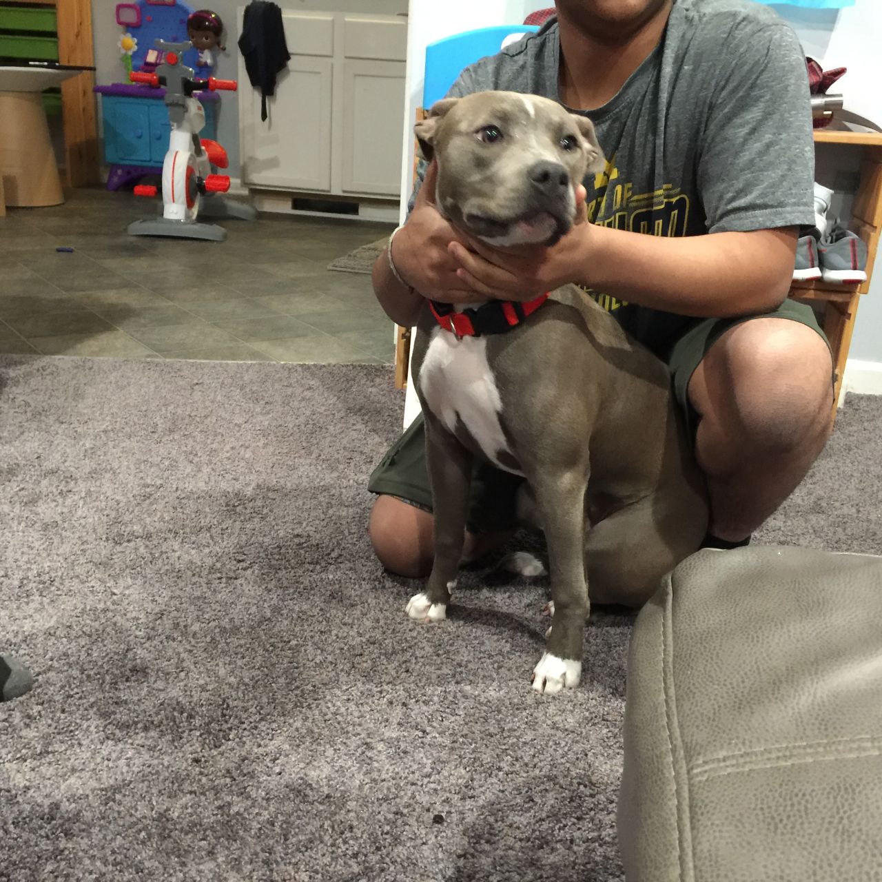 Photo of the dog