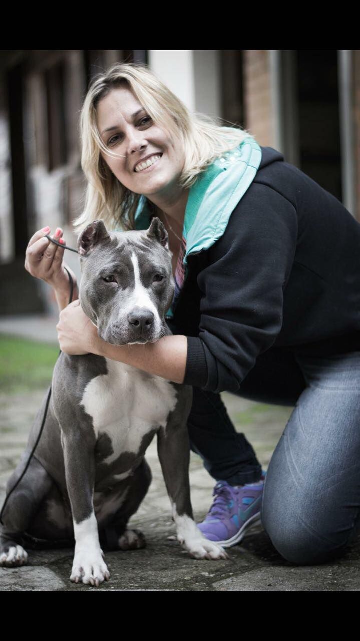 Photo of the dog