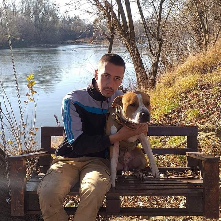 Photo of the dog