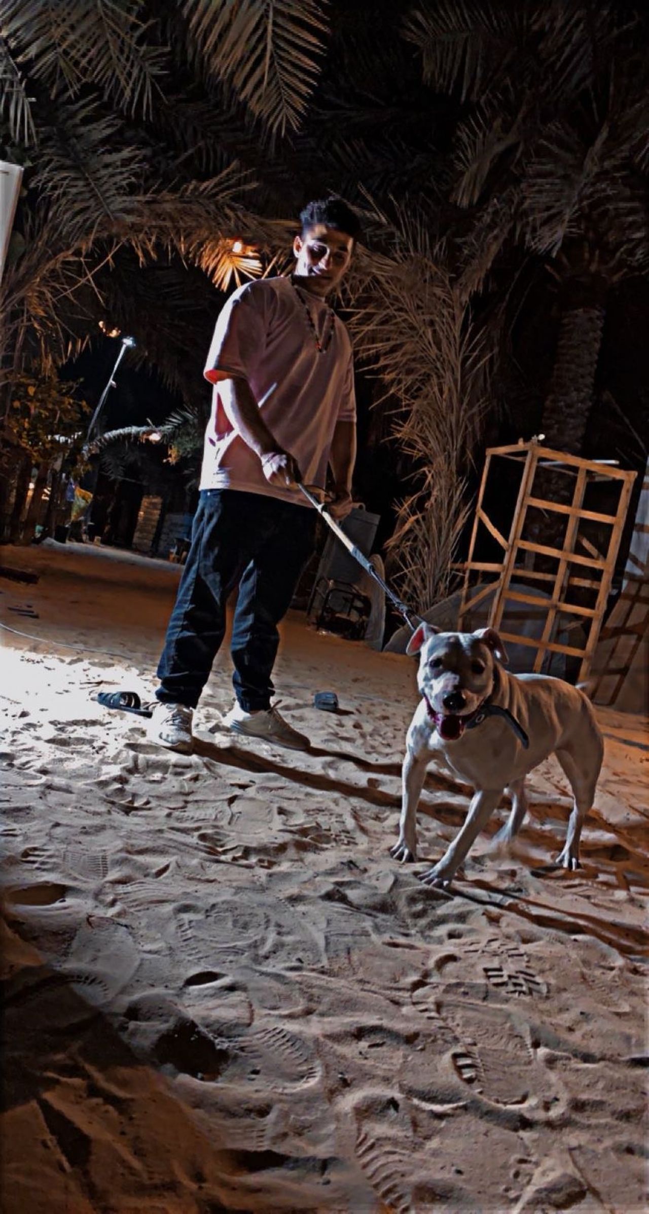 Photo of the dog