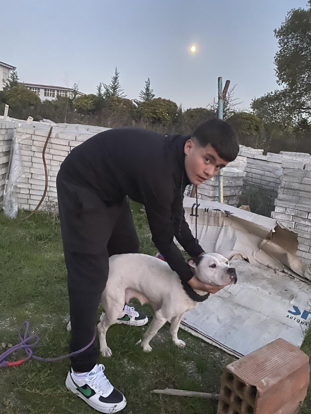 Photo of the dog