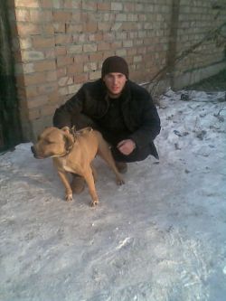 Photo of the dog