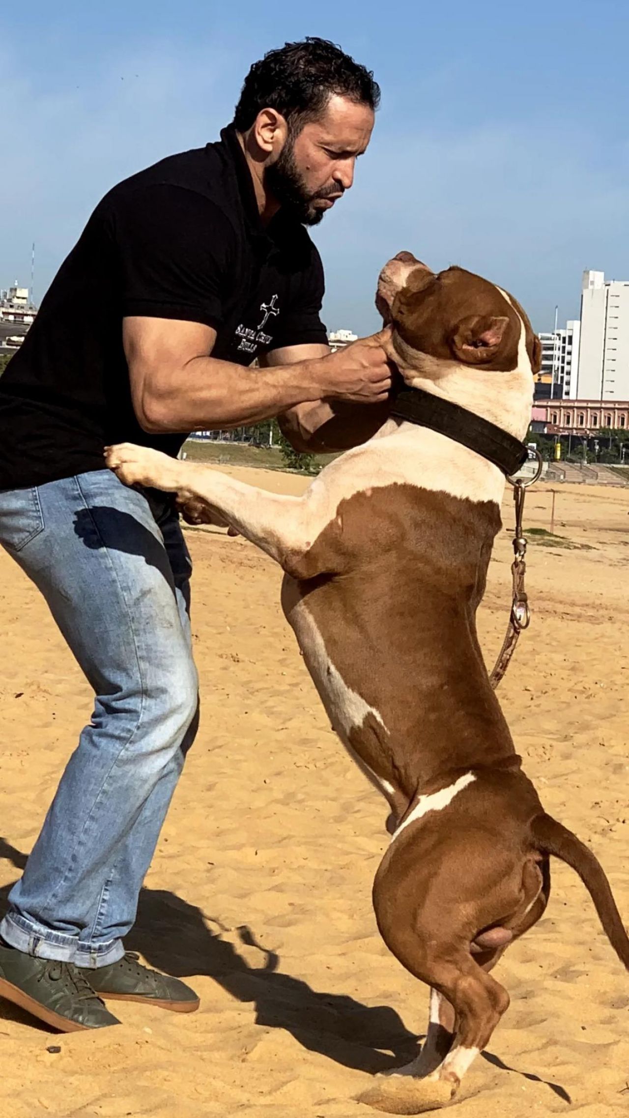Photo of the dog