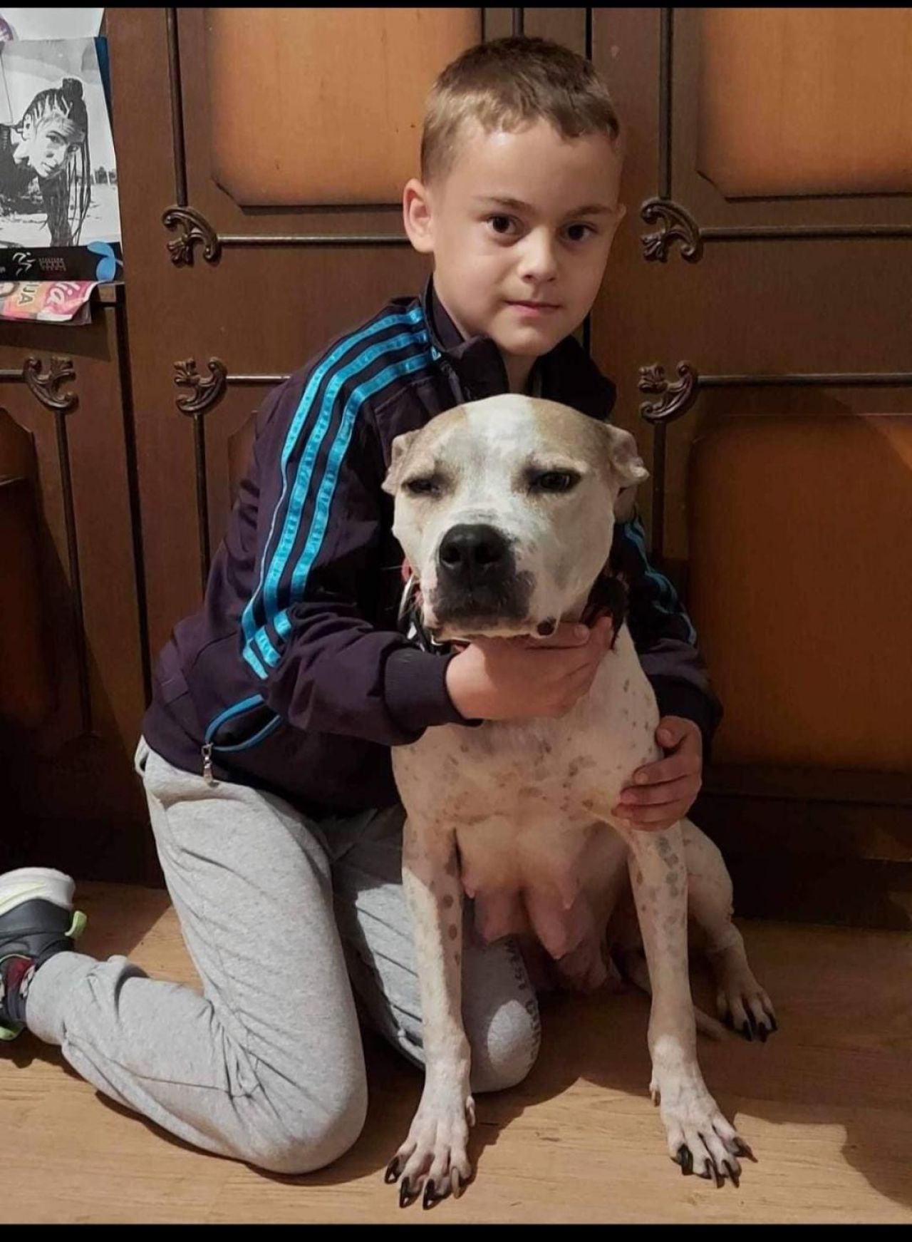 Photo of the dog