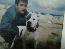 Photo of the dog