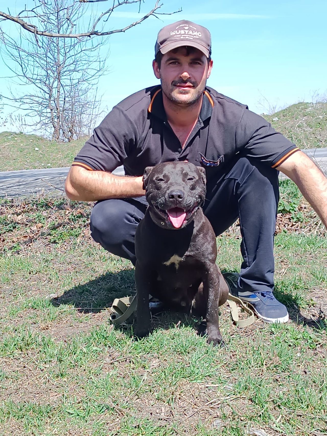 Photo of the dog