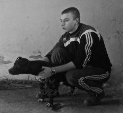 Photo of the dog