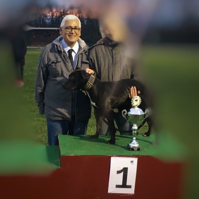 Photo of the dog