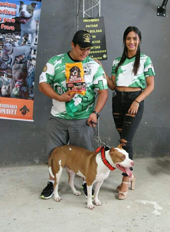 Photo of the dog