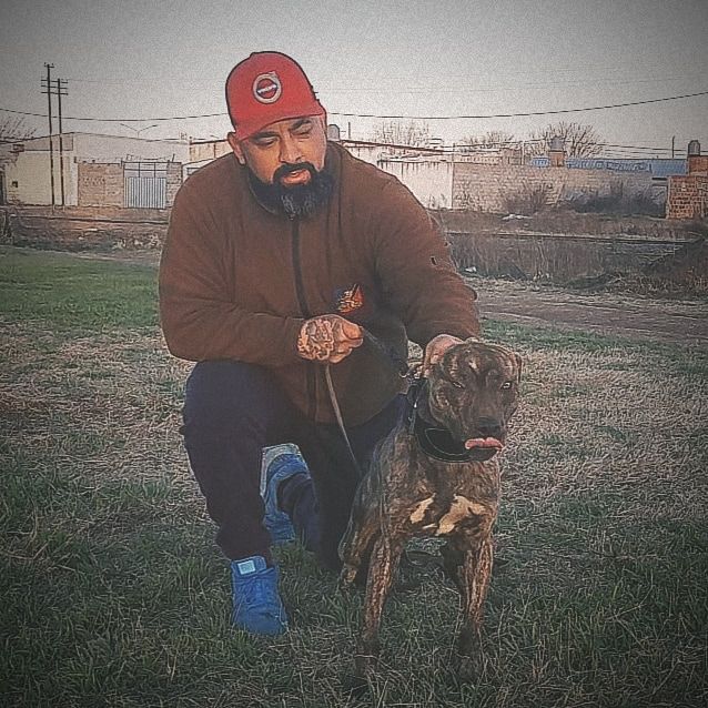 Photo of the dog