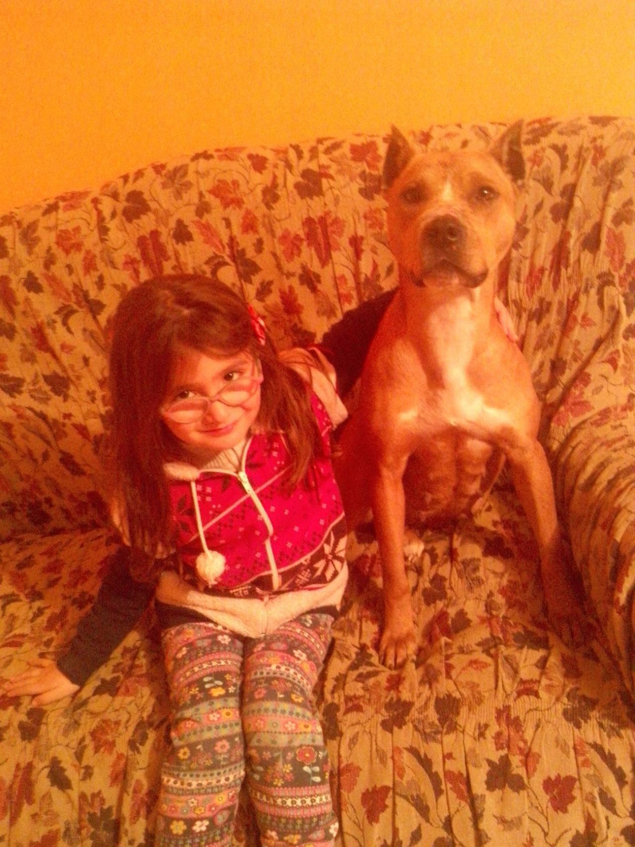 Photo of the dog