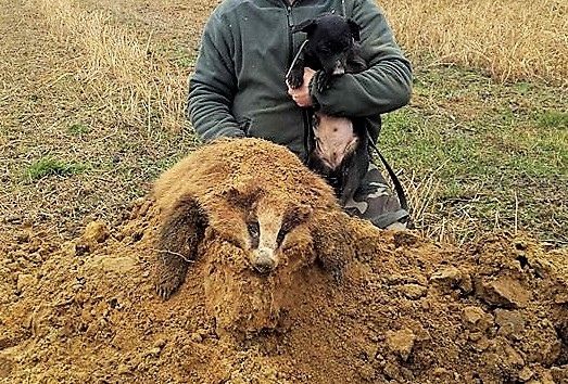 Photo of the dog