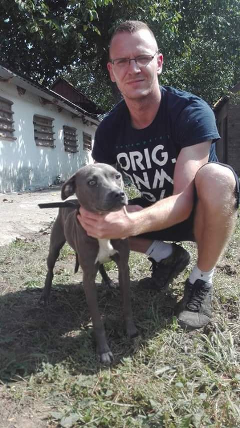 Photo of the dog