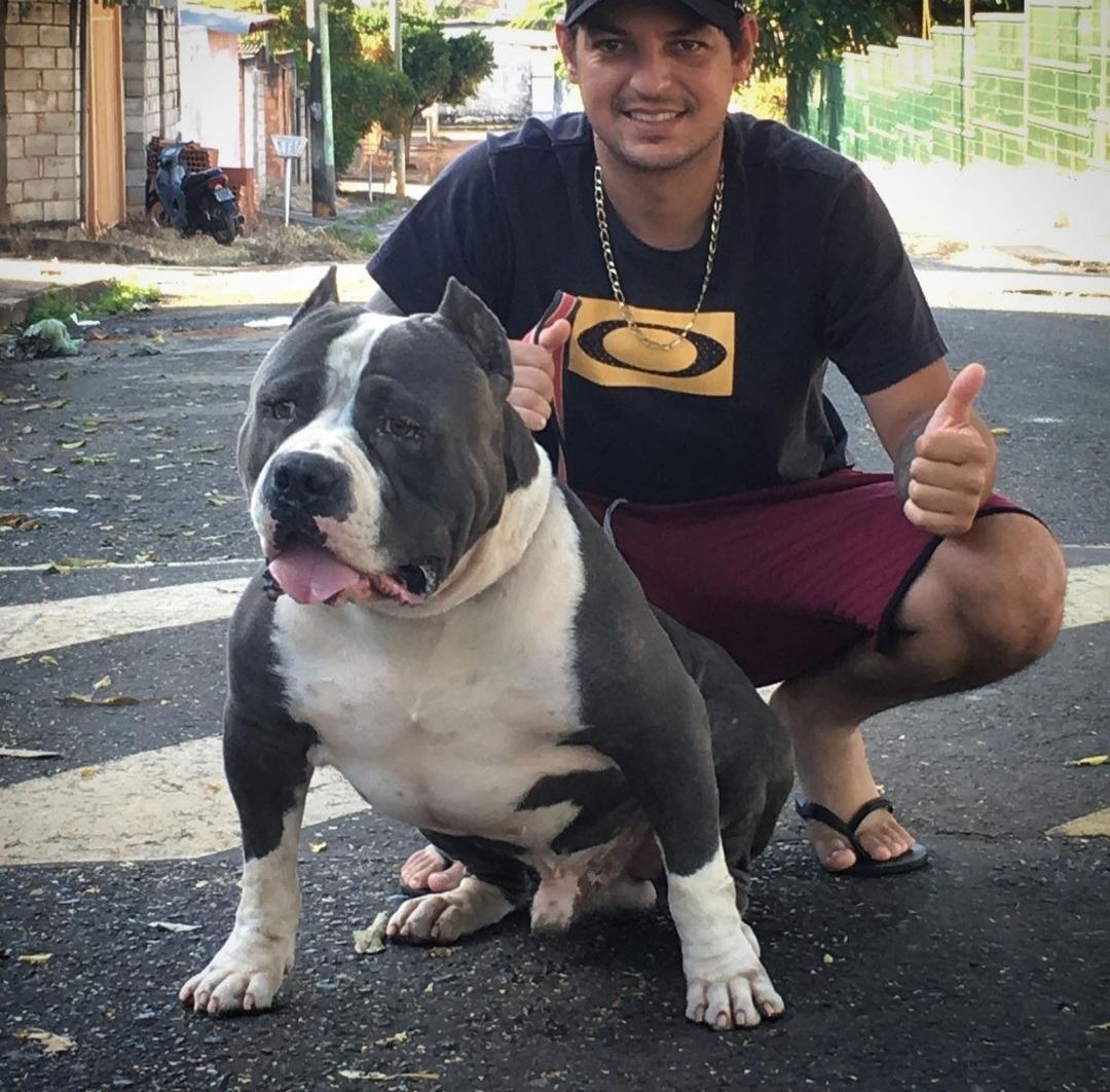 Photo of the dog