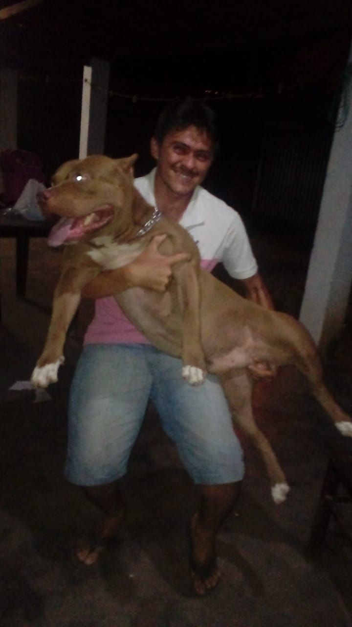 Photo of the dog