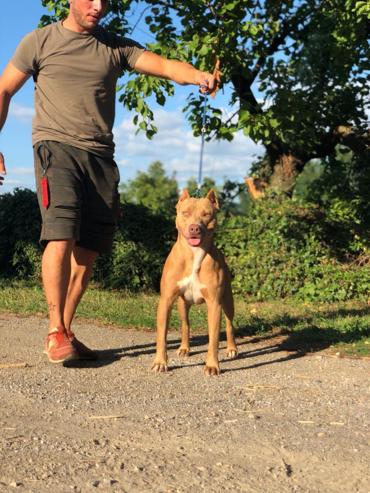 Photo of the dog