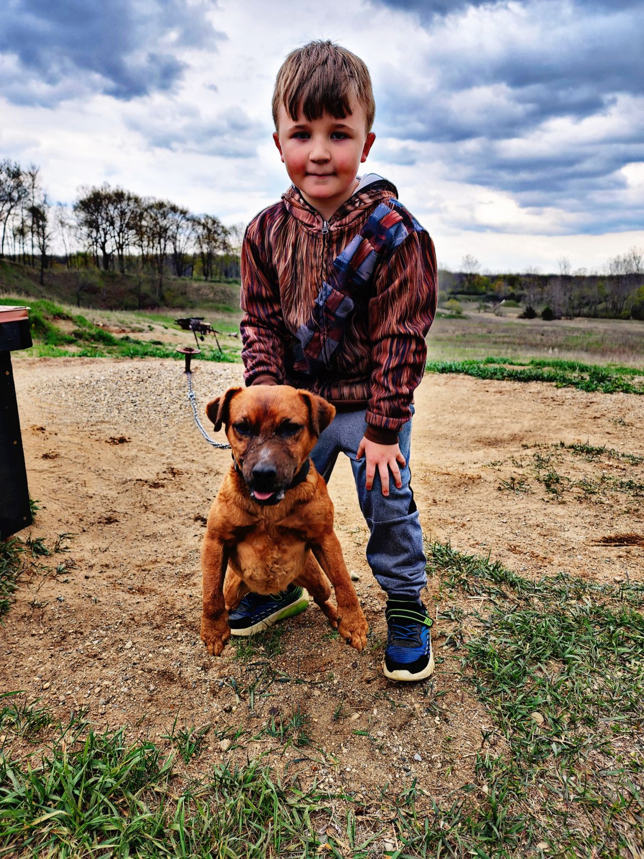 Photo of the dog