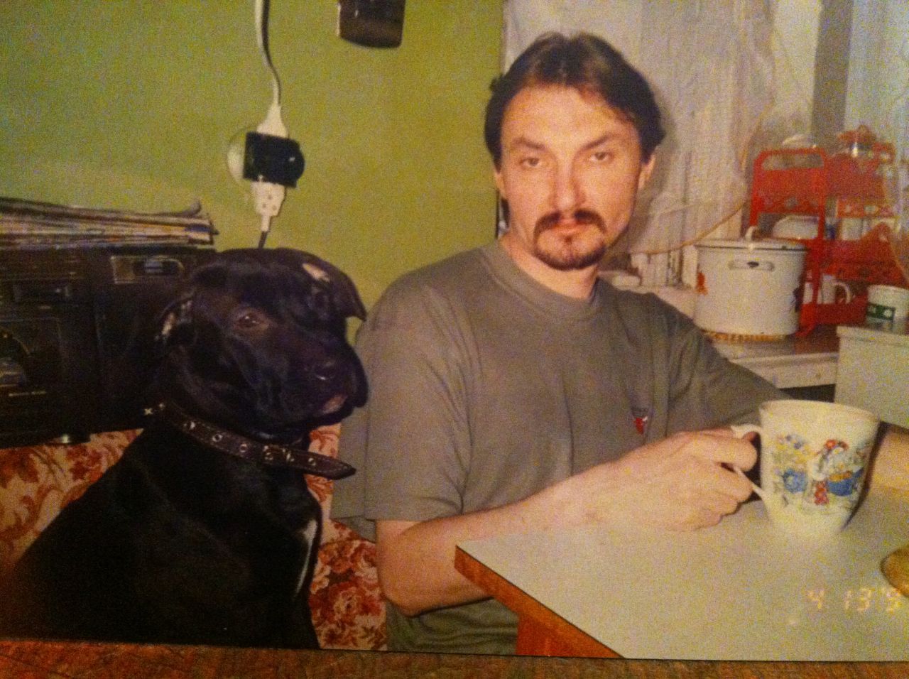 Photo of the dog
