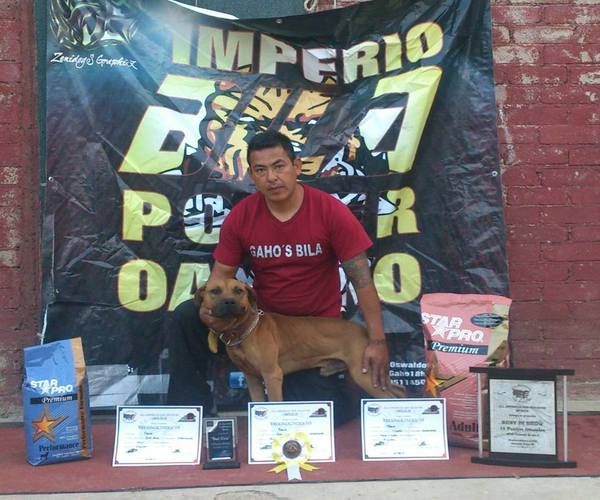 Photo of the dog