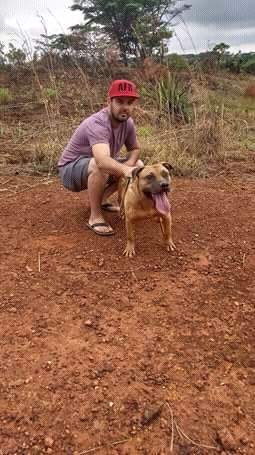 Photo of the dog