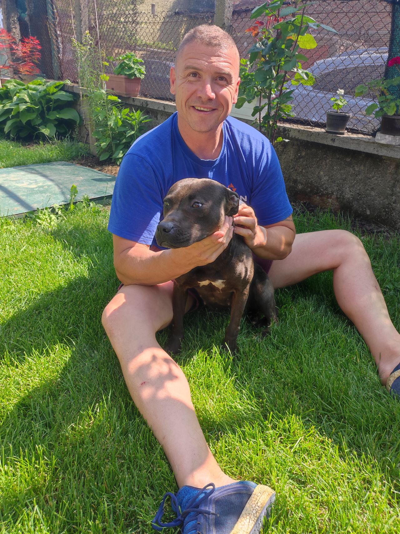 Photo of the dog