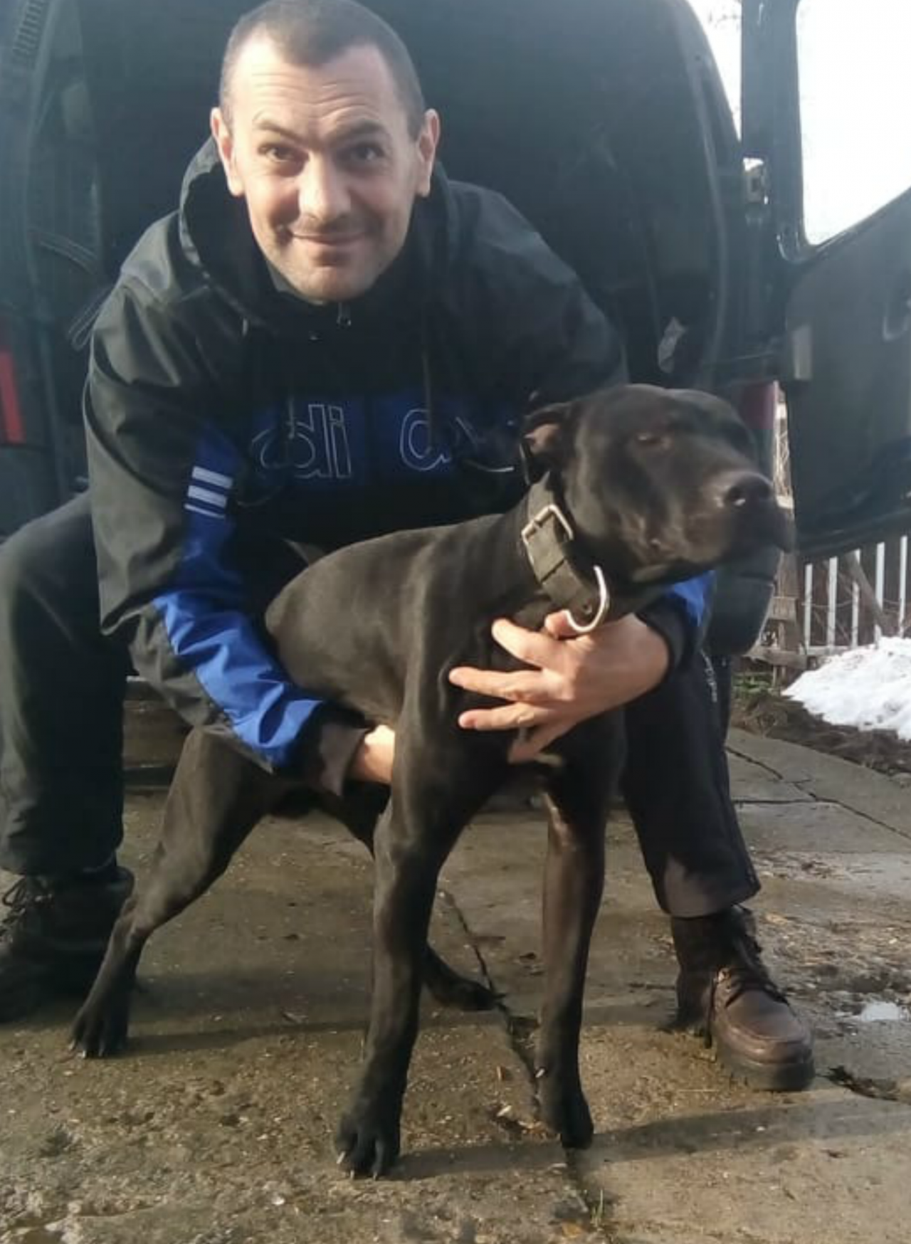 Photo of the dog