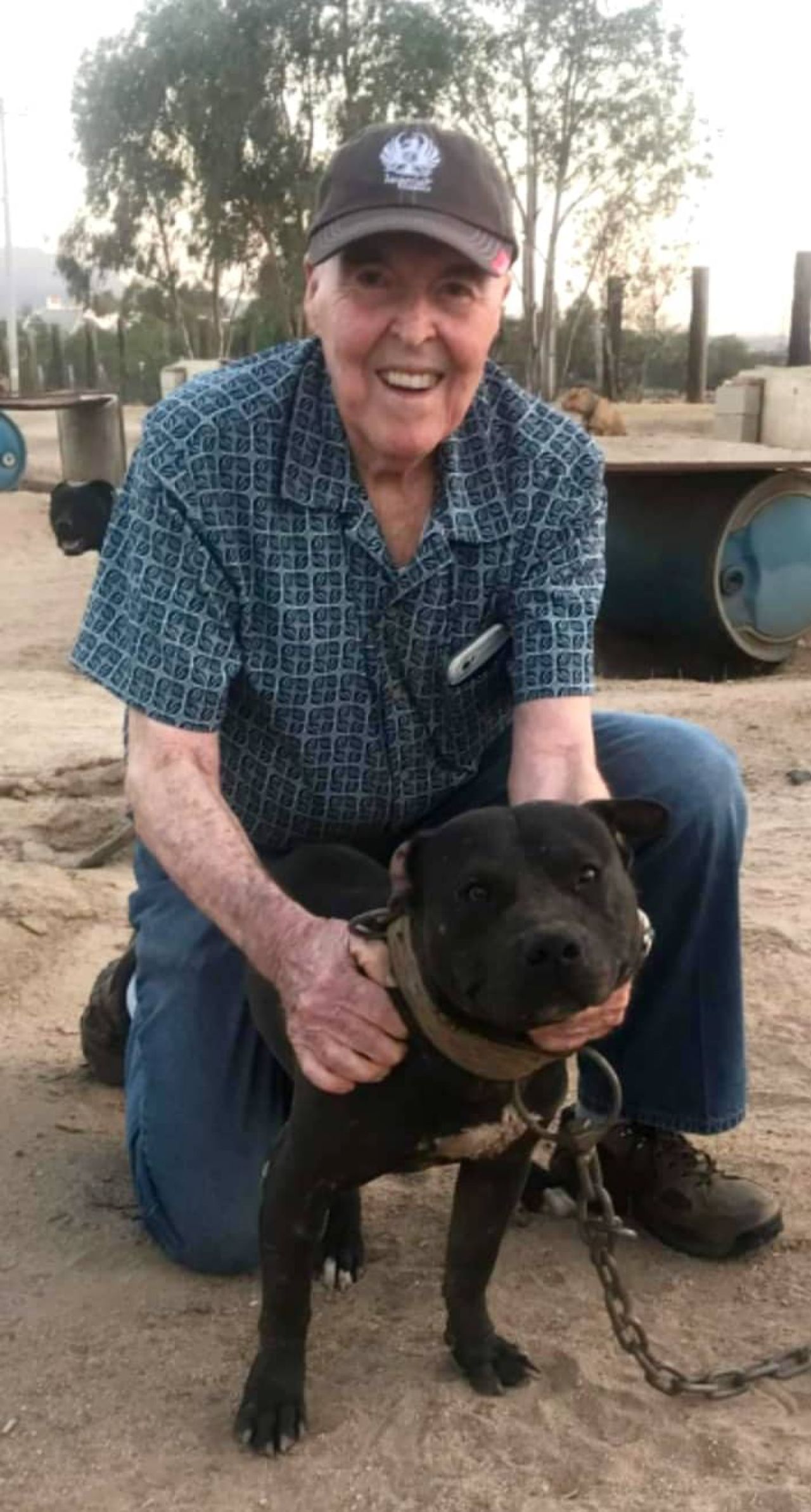 Photo of the dog