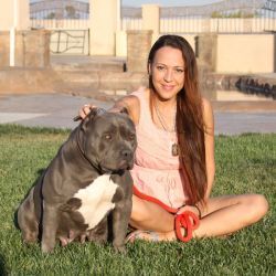 Photo of the dog