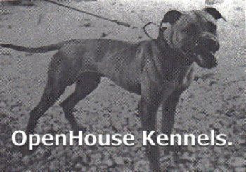 open house kennels