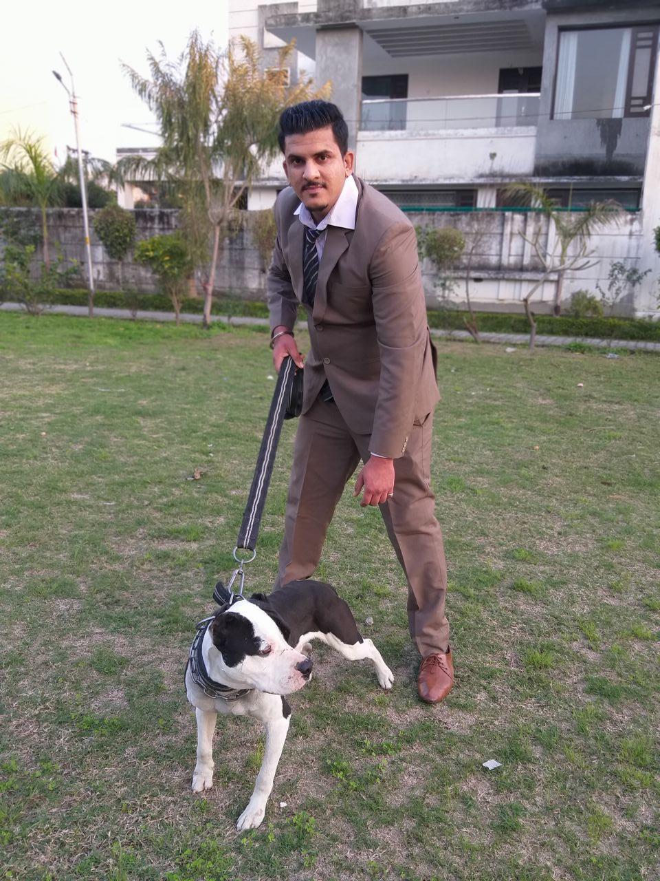 Photo of the dog