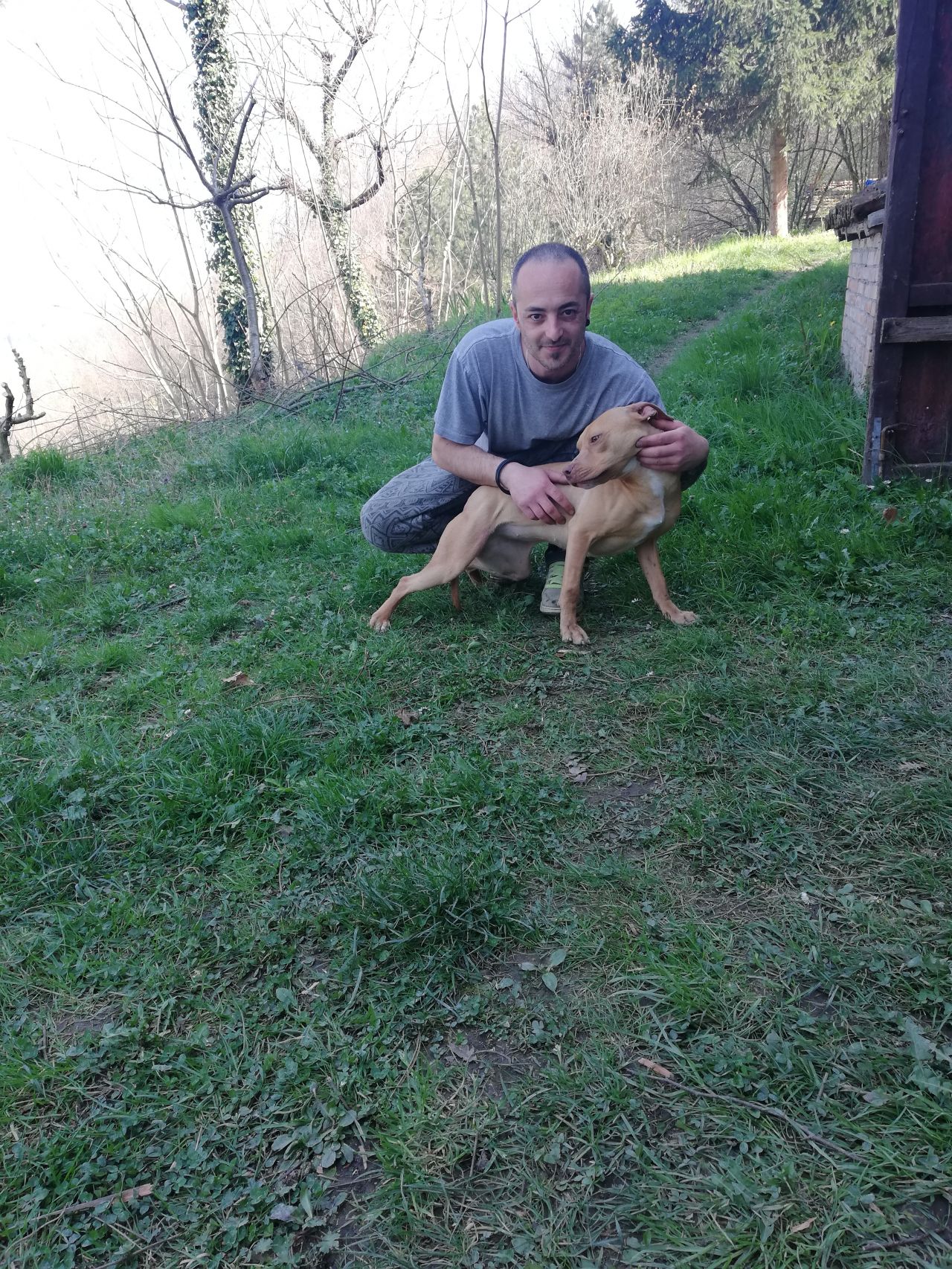 Photo of the dog