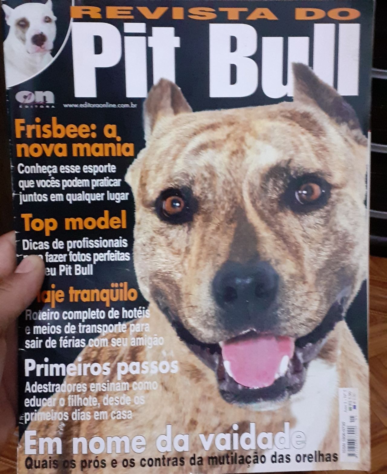 Photo of the dog